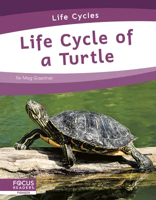 Cycle de vie d'une tortue - Life Cycle of a Turtle