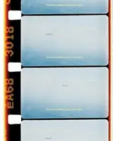 Basim Magdy : Les hypnotiser par l'oubli - Basim Magdy: To Hypnotize Them with Forgetfulness