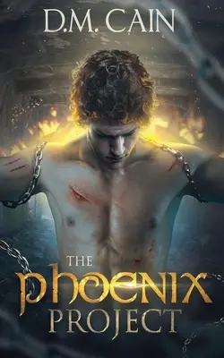 Le projet Phoenix - The Phoenix Project