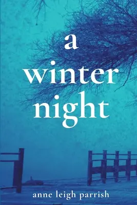 Une nuit d'hiver - A Winter Night