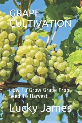 Culture du raisin : Comment cultiver le raisin de la graine à la récolte - Grape Cultivation: How To Grow Grape From Seed To Harvest