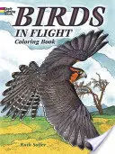 Livre à colorier « Oiseaux en vol - Birds in Flight Coloring Book