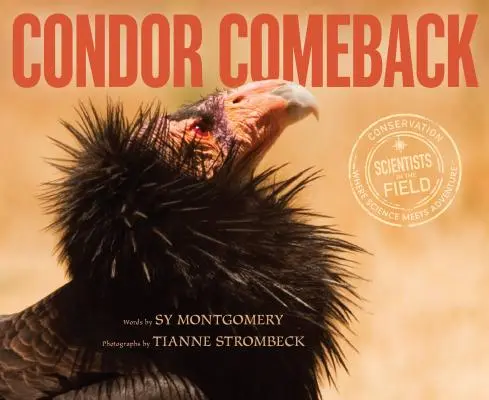 Le retour du condor - Condor Comeback