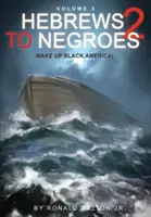 Hébreux et Nègres 2 Volume 3 : Réveillez l'Amérique noire - Hebrews to Negroes 2 Volume 3: Wake Up Black America