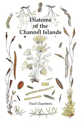 Diatomées des îles Anglo-Normandes - Diatoms of the Channel Islands