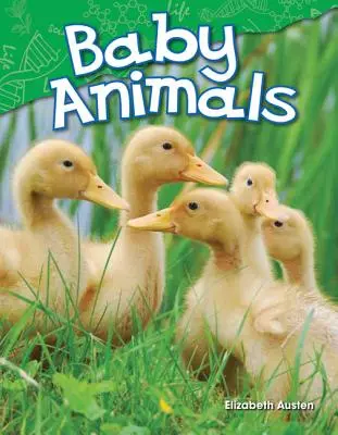 Bébés animaux - Baby Animals