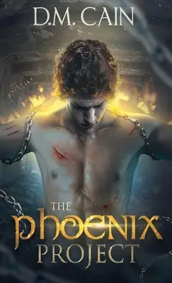 Le projet Phoenix - The Phoenix Project