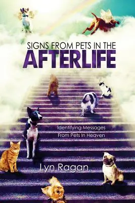 Signes des animaux de compagnie dans l'au-delà : Identifier les messages des animaux de compagnie au paradis - Signs From Pets In The Afterlife: Identifying Messages From Pets In Heaven