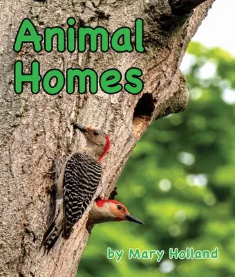 Maisons des animaux - Animal Homes