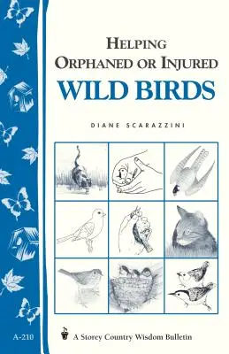 Aider les oiseaux sauvages orphelins ou blessés : Storey's Country Wisdom Bulletin A-210 - Helping Orphaned or Injured Wild Birds: Storey's Country Wisdom Bulletin A-210