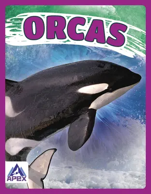 orques - Orcas