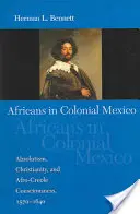 Les Africains au Mexique colonial : Absolutisme, christianisme et conscience afro-créole, 1570-1640 - Africans in Colonial Mexico: Absolutism, Christianity, and Afro-Creole Consciousness, 1570-1640
