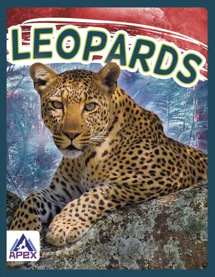 Léopards - Leopards