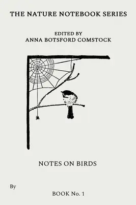 Notes sur les oiseaux 1 - Notes on Birds 1