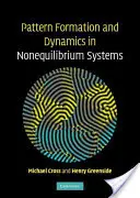 Formation de modèles et dynamique dans les systèmes en déséquilibre - Pattern Formation and Dynamics in Nonequilibrium Systems