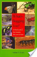 Qu'est-ce qui vous dérange&nbsp;? Un regard affectueux sur les animaux que nous aimons détester - What's Bugging You?: A Fond Look at the Animals We Love to Hate