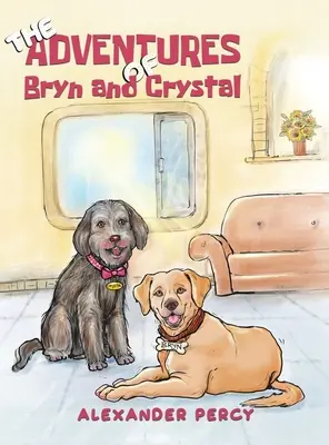 Les aventures de Bryn et Crystal - The Adventures of Bryn and Crystal