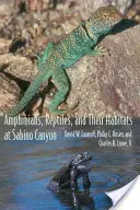 Les amphibiens, les reptiles et leurs habitats à Sabino Canyon - Amphibians, Reptiles, and Their Habitats at Sabino Canyon