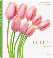 Les tulipes - Tulips