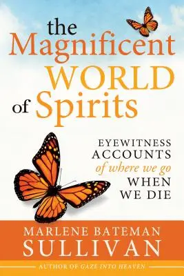 Le magnifique monde des esprits : Témoignages sur l'endroit où nous allons quand nous mourons - The Magnificient World of Spirits: Eyewitness Accounts of Where We Go When We Die