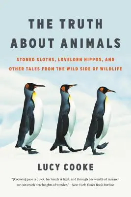 La vérité sur les animaux : Les paresseux défoncés, les hippopotames malheureux et d'autres histoires du côté sauvage de la vie sauvage - The Truth about Animals: Stoned Sloths, Lovelorn Hippos, and Other Tales from the Wild Side of Wildlife