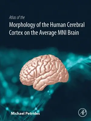Atlas de la morphologie du cortex cérébral humain sur le cerveau Mni moyen - Atlas of the Morphology of the Human Cerebral Cortex on the Average Mni Brain
