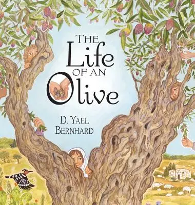 La vie d'une olive - The Life of an Olive