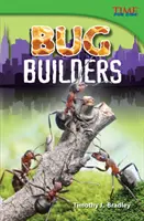 Constructeurs d'insectes - Bug Builders