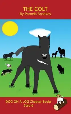 The Colt Chapter Book : (Step 6) Sound Out Books (systematic decodable) Help Developing Readers, including Those with Dyslexia, Learn to Read - The Colt Chapter Book: (Step 6) Sound Out Books (systematic decodable) Help Developing Readers, including Those with Dyslexia, Learn to Read