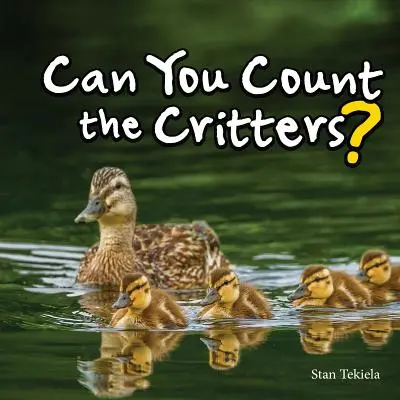 Pouvez-vous compter les animaux ? - Can You Count the Critters?