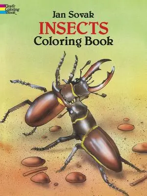 Insectes - Livre à colorier - Insects Coloring Book