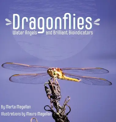 Les libellules : Anges aquatiques et brillants bioindicateurs - Dragonflies: Water Angels and Brilliant Bioindicators