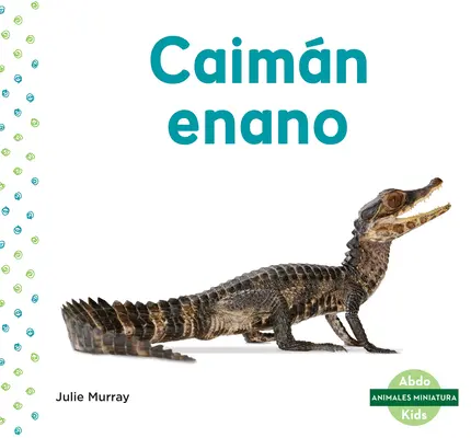 Caimn Enano (Caïman nain) - Caimn Enano (Dwarf Caiman)