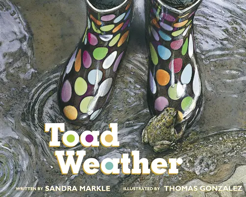 Le temps des crapauds - Toad Weather