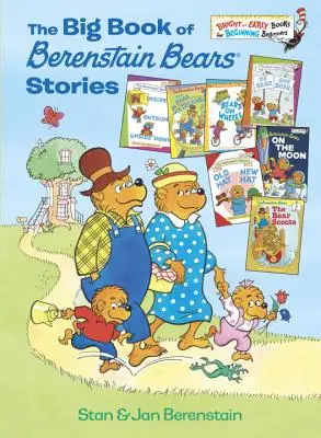 Le grand livre des histoires des ours Berenstain - The Big Book of Berenstain Bears Stories