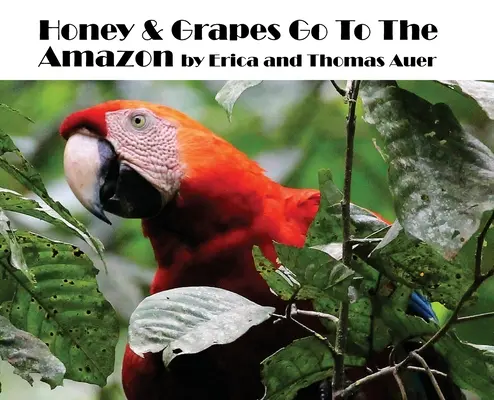 Le miel et le raisin vont en Amazonie - Honey & Grapes Go To The Amazon