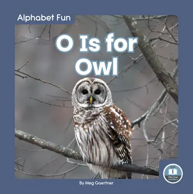 O comme hibou - O Is for Owl