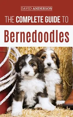 Le Guide Complet du Bernedoodle : Tout ce que vous devez savoir pour élever avec succès votre chiot Bernedoodle ! - The Complete Guide to Bernedoodles: Everything you need to know to successfully raise your Bernedoodle puppy!