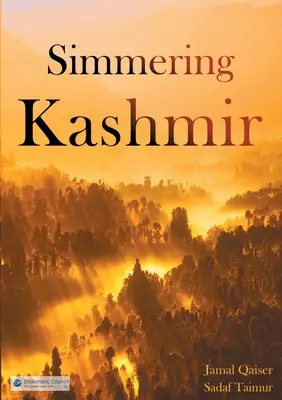 Le Cachemire en ébullition - Simmering Kashmir