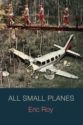 Tous les petits avions - All Small Planes