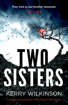 Deux sœurs : Un thriller psychologique captivant avec un rebondissement choquant - Two Sisters: A gripping psychological thriller with a shocking twist