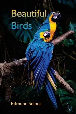 Les beaux oiseaux - Beautiful Birds