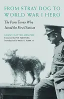 Du chien errant au héros de la Première Guerre mondiale : le terrier de Paris qui rejoignit la première division - From Stray Dog to World War I Hero: The Paris Terrier Who Joined the First Division