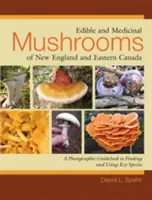 Les champignons comestibles et médicinaux de la Nouvelle-Angleterre et de l'Est du Canada : Un guide photographique pour trouver et utiliser les principales espèces - Edible and Medicinal Mushrooms of New England and Eastern Canada: A Photographic Guidebook to Finding and Using Key Species