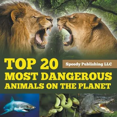 Les 20 animaux les plus dangereux de la planète - Top 20 Most Dangerous Animals On The Planet