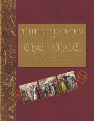 Illustrations préceptives de la Bible : Comprendre les Bibles à travers un journal de travaux dirigés - Preceptive Illustrations of the Bible: Understanding the Bibles Through a Tutorial Journal