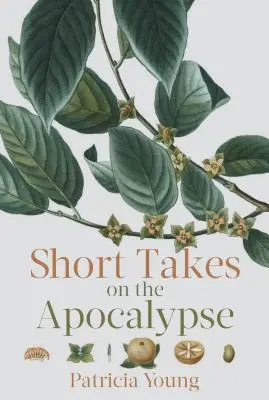 Petites phrases sur l'apocalypse - Short Takes on the Apocalypse