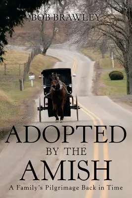 Adoptés par les Amish : le pèlerinage d'une famille dans le temps - Adopted by the Amish: A Family's Pilgrimage Back in Time