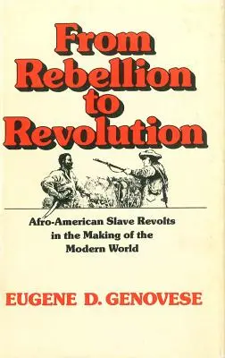 De la rébellion à la révolution : Les révoltes d'esclaves afro-américains à l'origine du monde moderne (révisé) - From Rebellion to Revolution: Afro-American Slave Revolts in the Making of the Modern World (Revised)