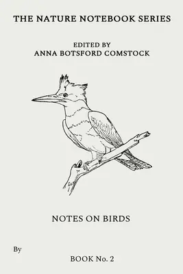 Notes sur les oiseaux 2 - Notes on Birds 2